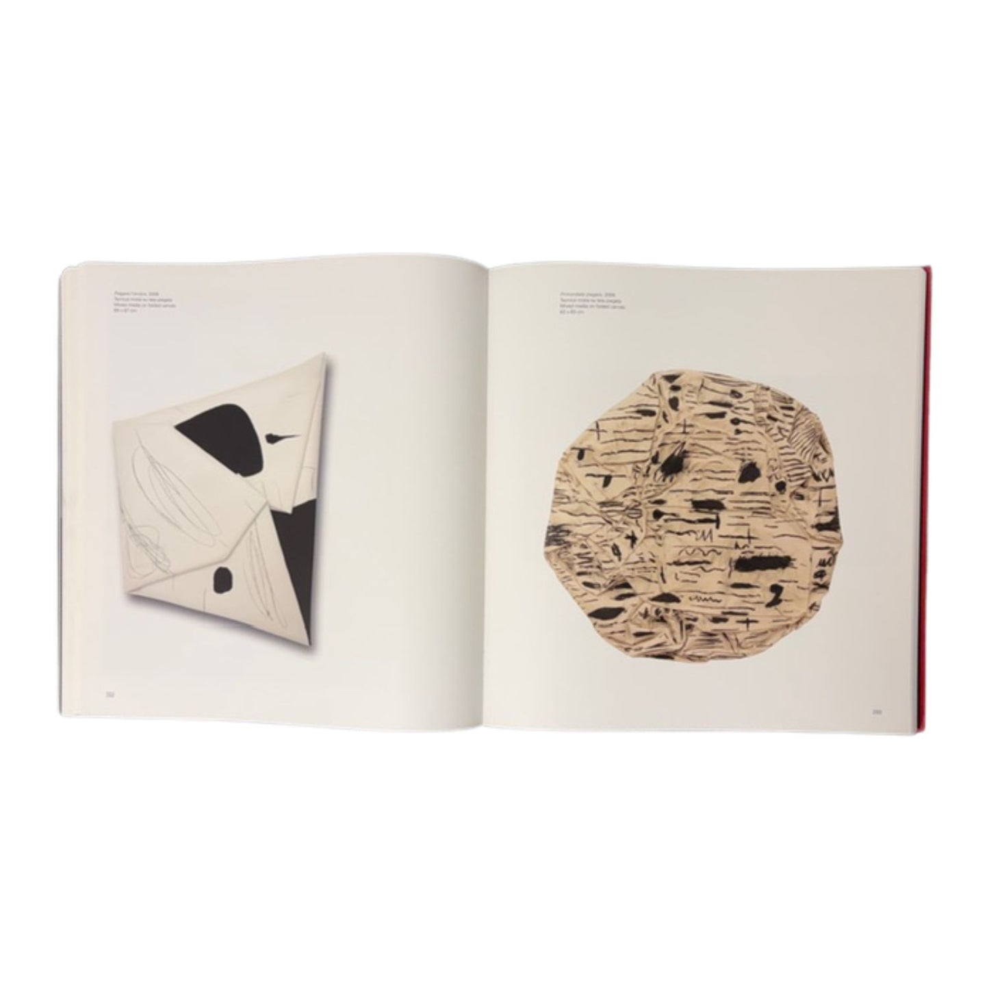 Cesare Berlingeri - Forme nel tempo