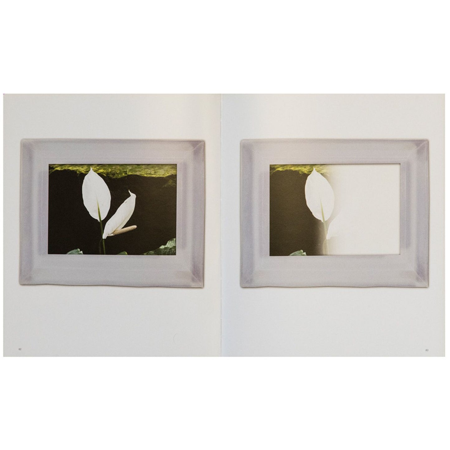 Chiara Dynys – Poisoned Flowers