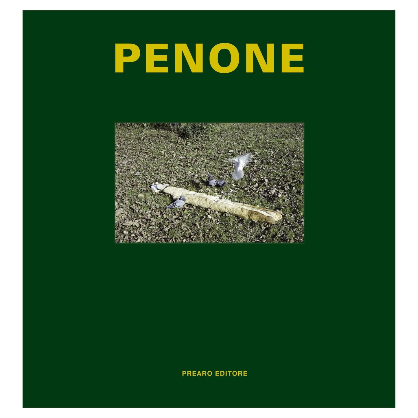 Giuseppe Penone - Alpi Marittime 1968, 1969, 1970