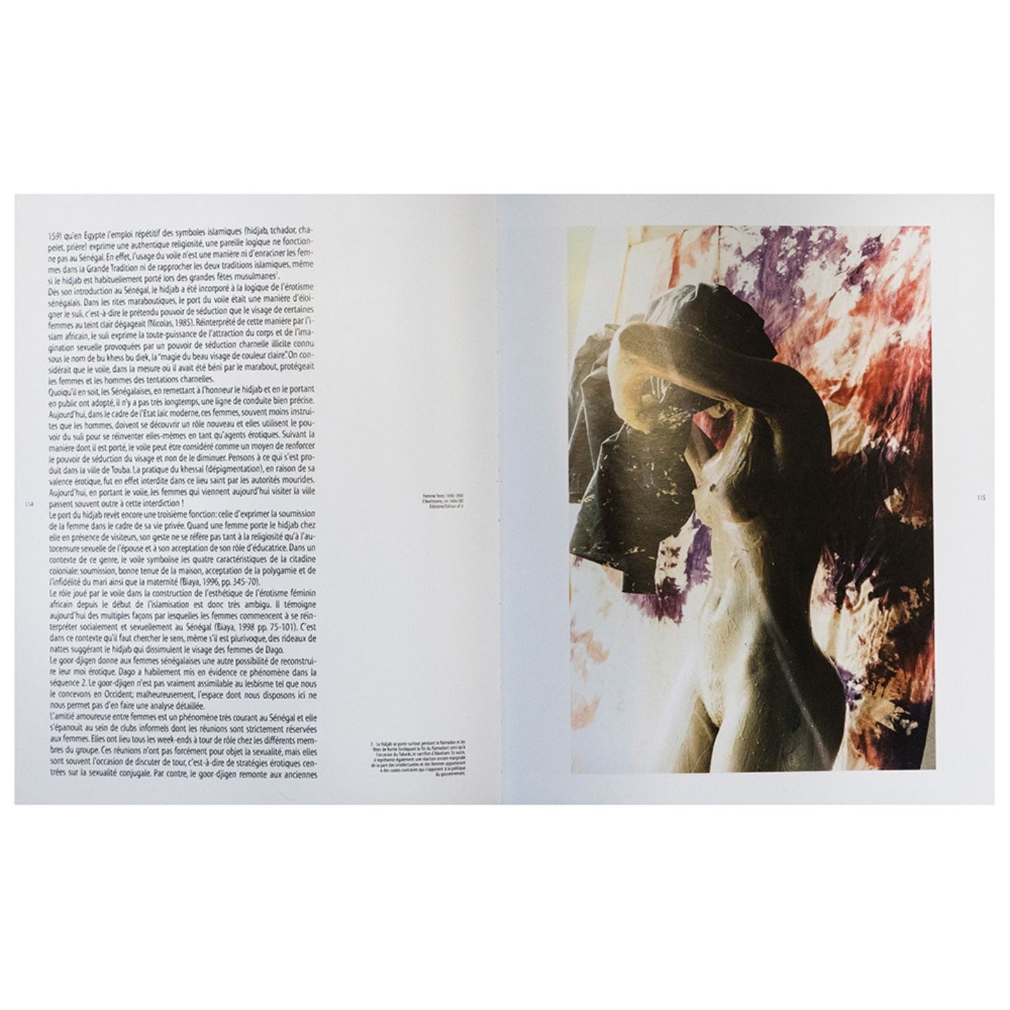 Ousmane Ndiaye Dago – Femme terre