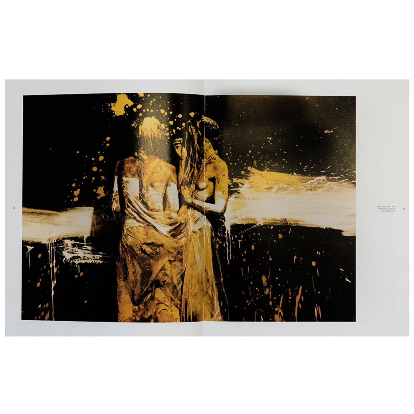Ousmane Ndiaye Dago – Femme terre