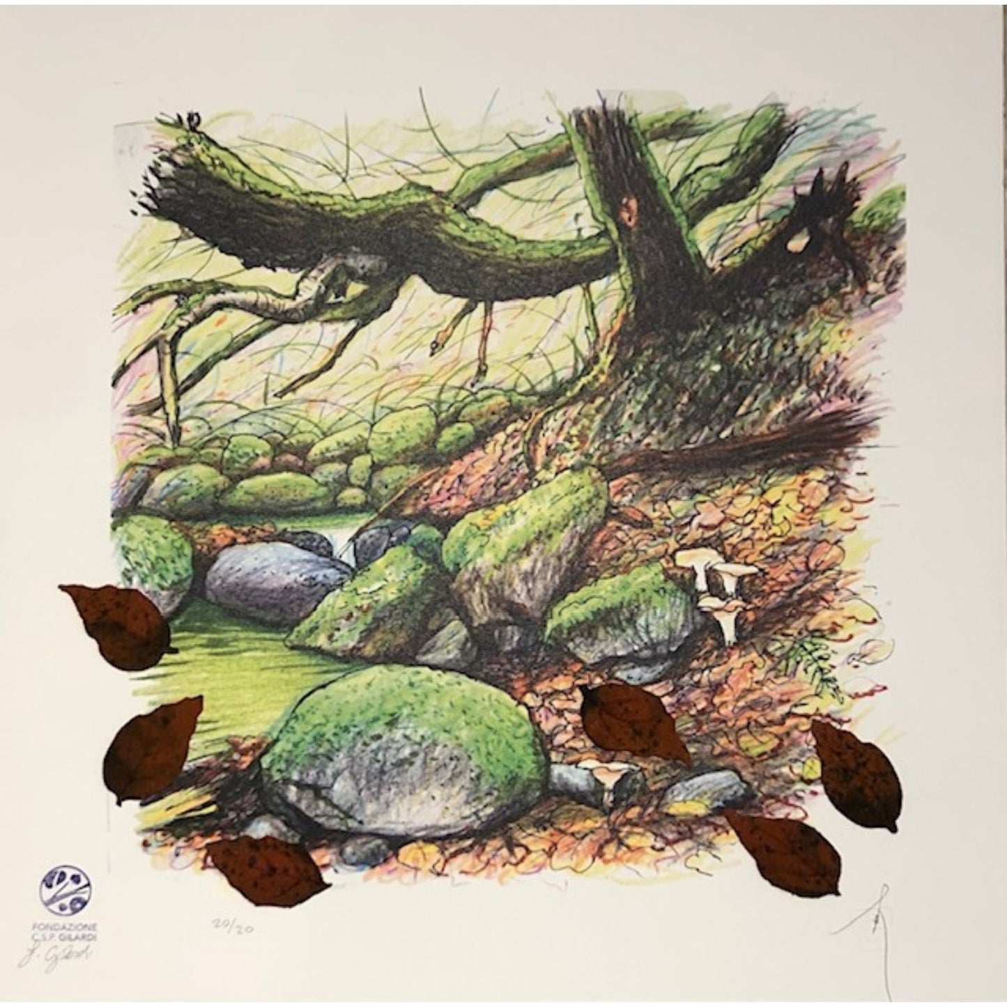Piero Gilardi - Naturalis Historia