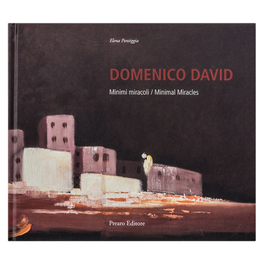 DOMENICO DAVID – Minimi miracoli