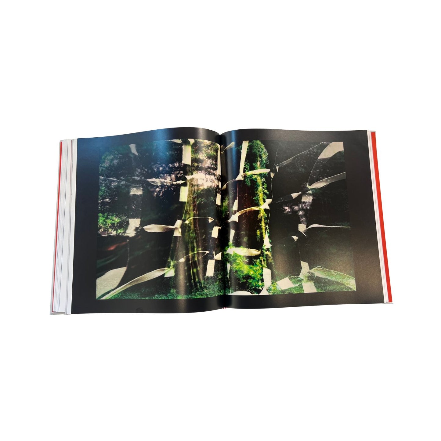 Fernando Garbellotto - Una rete di reti sulla pelle