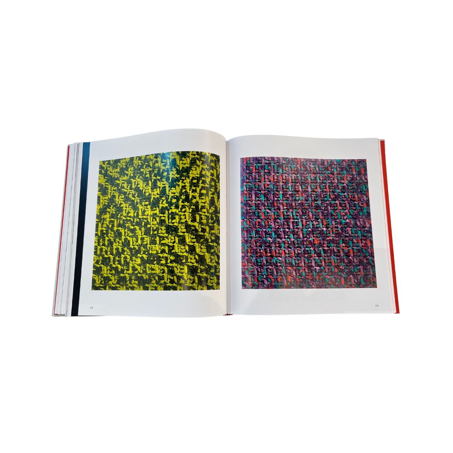 Fernando Garbellotto - Una rete di reti sulla pelle