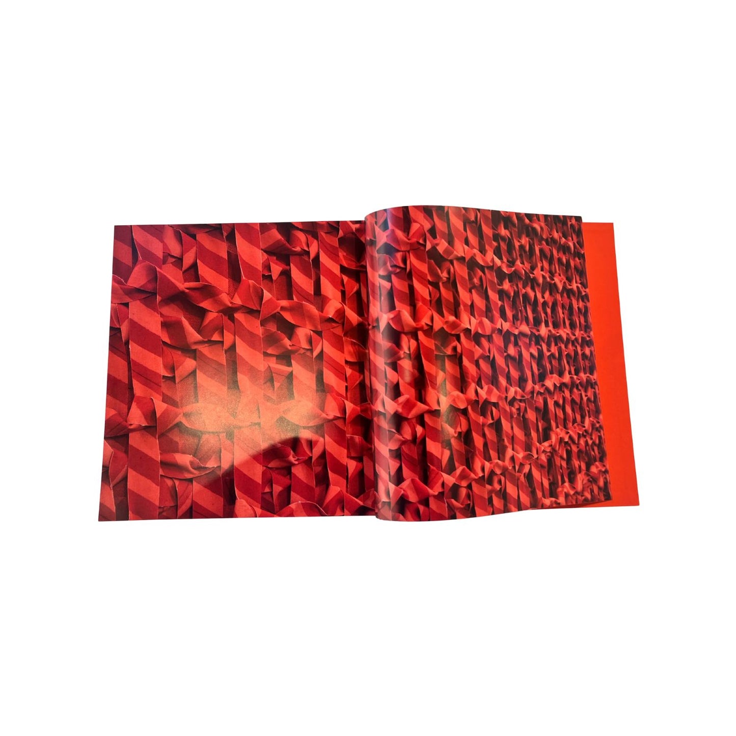 Fernando Garbellotto - Una rete di reti sulla pelle