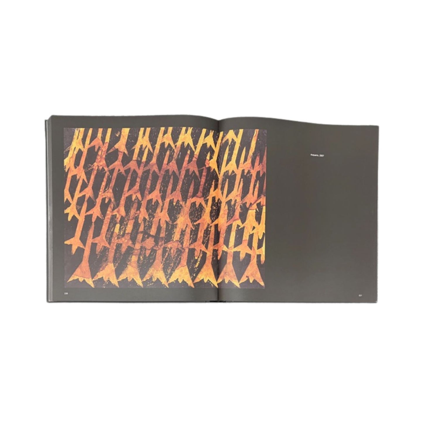 Sergio Ragalzi - Neronatura