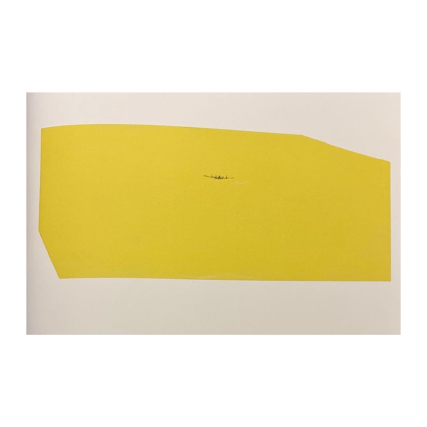 Terry Atkinson. From we to I. Ediz. italiana e inglese